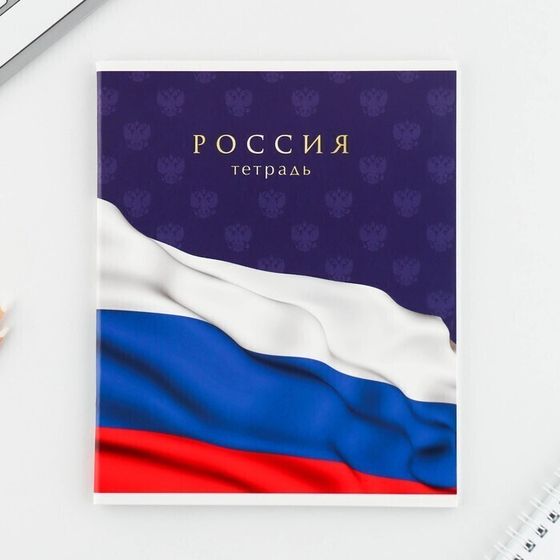 !09 Набор 4 штуки - Тетрадь А5, 48 л на скрепке МИКС «Шрифтовые яркие», обложка мелованный картон 230 гр., внутренний блок №1, в клетку 80 гр., белизна 96%