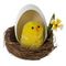 Набор из 6-ти изделий декоративных "Гнездо пасхальное" (6*4,5), L18 W14 H5,5 см