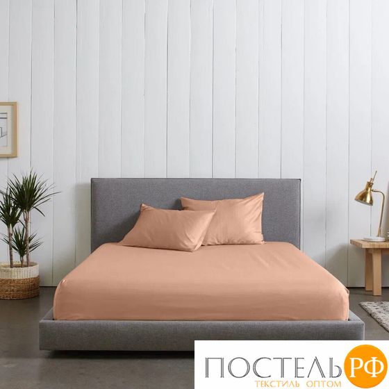 114462407-сгT43 Простыня Tencel 240х260 персик