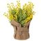 Цветочная композиция &quot;Мимоза&quot;, L18 W20 H26 см