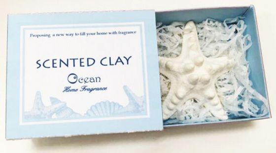 !09 Набор ароматический &quot;Ocean&quot; 2 предмета (аромамасло+ гипсовое изделие Звезда ) 9,2×8,1×3,5 см.