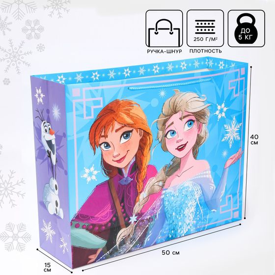 !09 Пакет подарочный, 50х40х15 см, упаковка, Холодное сердце