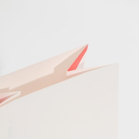 !Пакет без ручек 5 штук «Доставка с любовью», 10 × 19.3 × 7 см