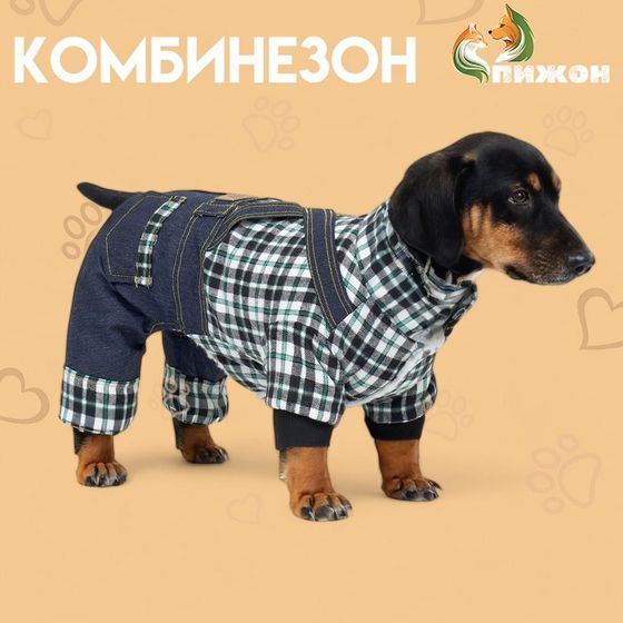 Комбинезон &quot;Men&quot;, размер  2XL (ДС 45 см, ОГ 55 см, ОШ 45 см), синий