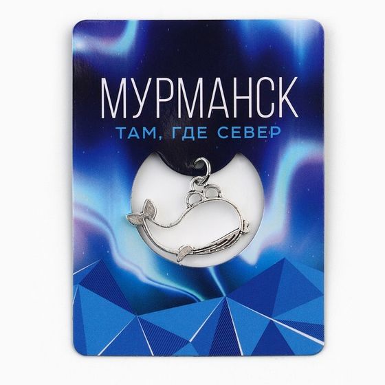 Магнит &quot;Мурманск&quot;, 6 х 8 см