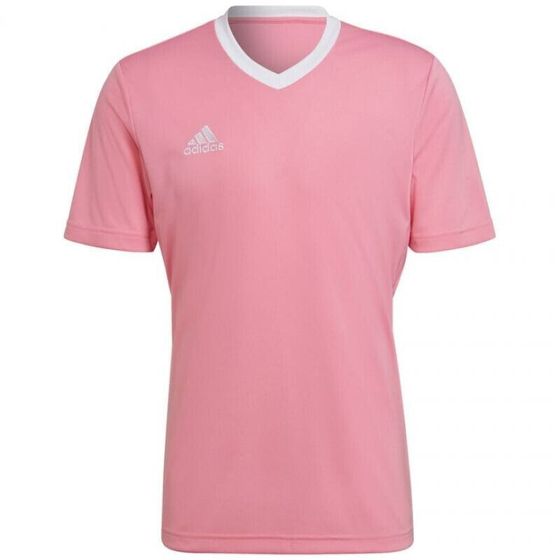 Мужская спортивная футболка розовая с логотипом Adidas Entrada 22 Jersey M HC5072