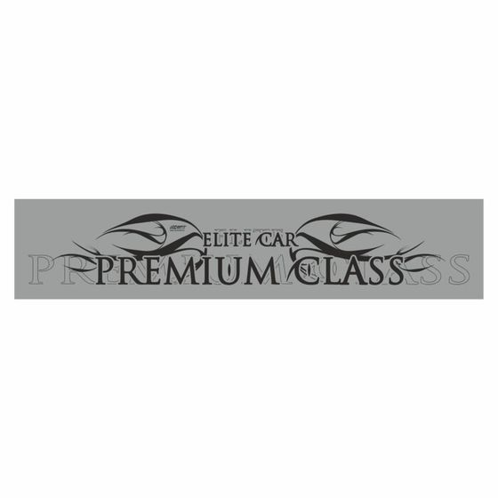 Полоса на лобовое стекло &quot;PREMIUM CLASS&quot;, серебро, 1200 х 270 мм