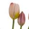 Цветы искусственные &quot;Букет Тюльпанов&quot; (Real Touch), L10 W10 H40 см