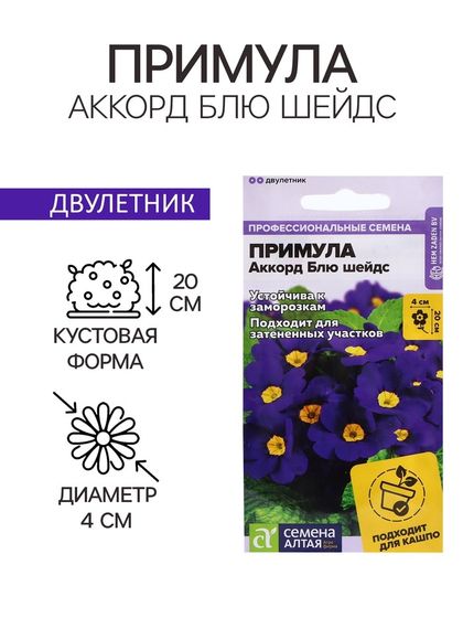 Семена Примула &quot;Аккорд Блю шейдс&quot;, ц/п,  5 шт