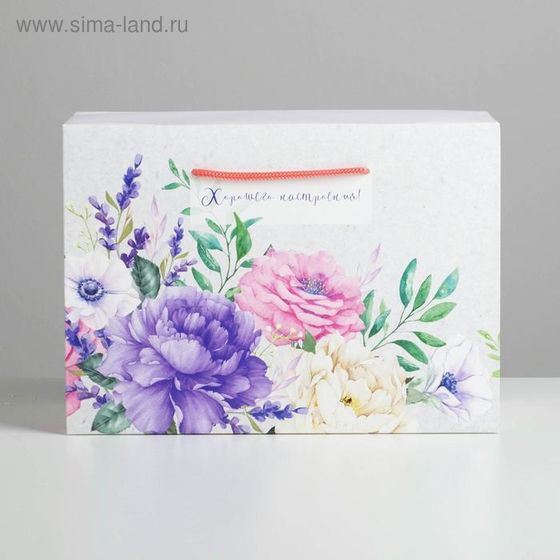 !09 Пакет—коробка (набор 2 штуки) «Хорошего настроения» 28 × 20 × 13 см.