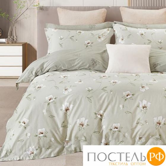 CH20/300-PCE КПБ CL HOME Поплин &quot;Pure Cotton&quot; двуспальный 175*215*1 200*220*1(±5) 70*70*2(±2) в ПВХ (UZ)