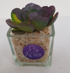 Цветы и композиции