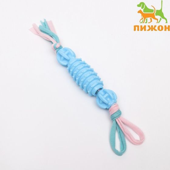 Игрушка-валик на верёвке с шариками &quot;Ролики&quot;, микс цветов