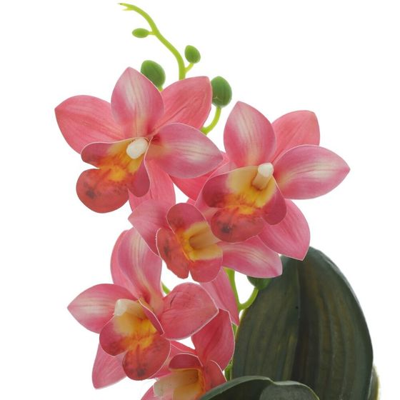 Цветочная композиция "Орхидея", L12,5 W11 H26 см