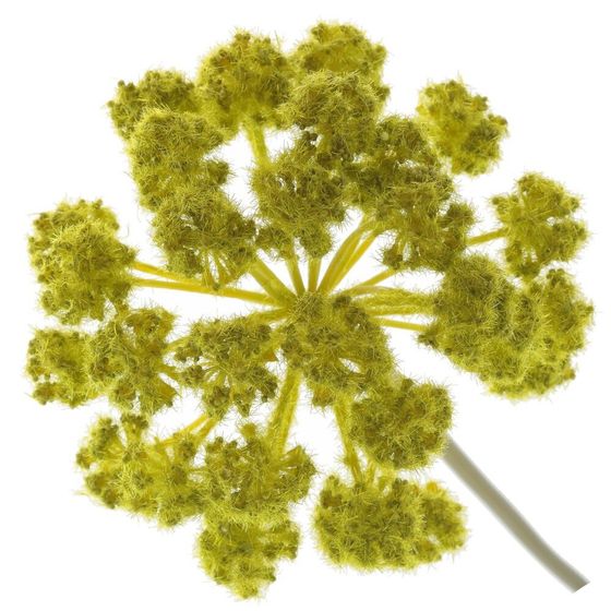 Цветок искусственный &quot;Дягиль&quot;, L16 W16 H80 см