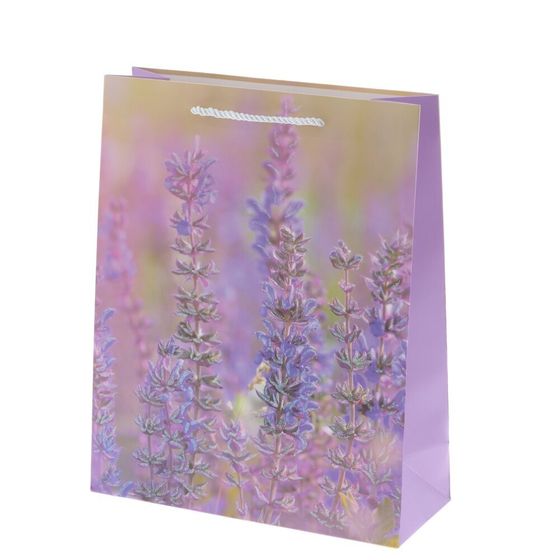 Пакет подарочный (бумага 210г/м2, блок микс 12шт), L30 W12 H41,5 см, 4в.