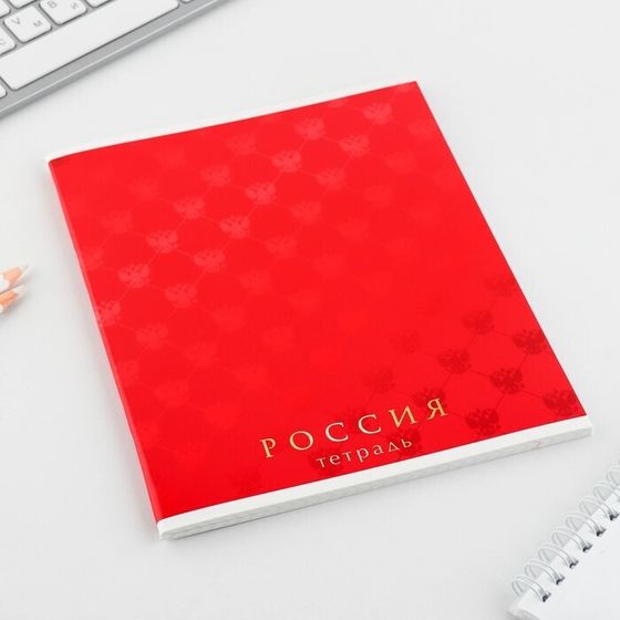 !Тетрадь А5, 48 л на скрепке 3 штуки МИКС «Шрифтовые яркие», обложка мелованный картон 230 гр., внутренний блок №1, в клетку 80 гр., белизна 96%!