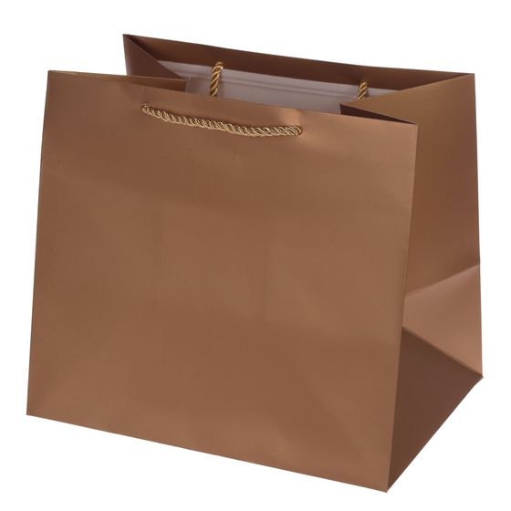 Пакет подарочный (бумага 230г/м2, блок 12шт), L28 W20 H25 см, 5в.