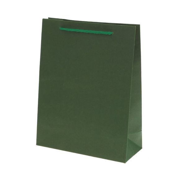 Пакет подарочный (бумага 210г/м2, блок 12шт), L19 W8 H24,5 см, 4в.