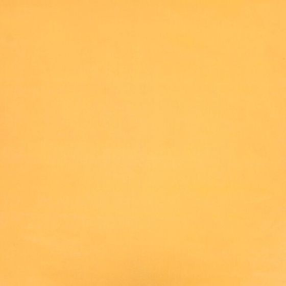 !Бумага упаковочная 2 листа глянцевая, двусторонняя &quot;Перья&quot;, рисунок, 100 х 70 см