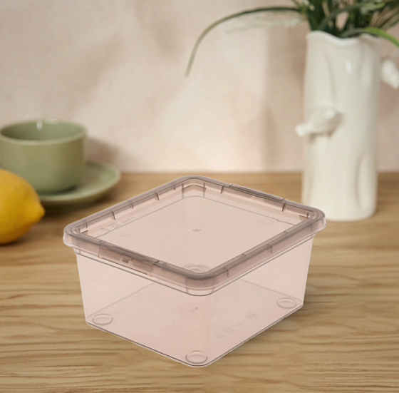 Коробка для хранения MYSTERY 1.9л