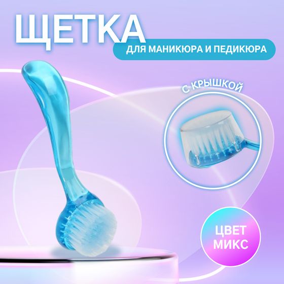 Щётка для маникюра/педикюра, 12,5 см (±1) см, с крышкой, цвет МИКС