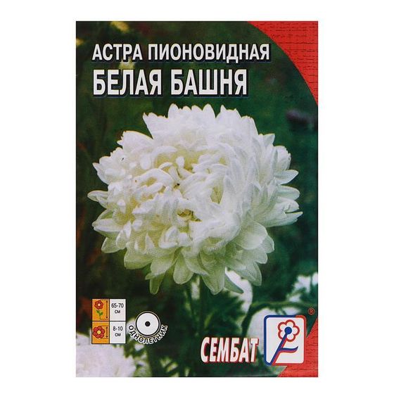 Семена цветов Астра пионовидная, белая, 0, 2 г