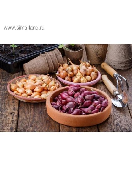 Лук севок смесь (штутгартен + кармен + стурон), р-р 18-21, 5 кг