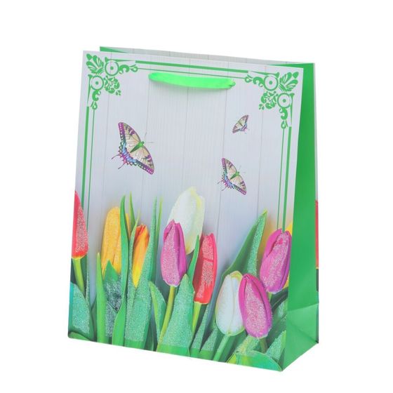 Пакет подарочный (бумага 210г/м2, блок микс12шт), L26 W10 H32 см, 4в.