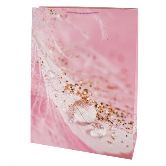 Пакет подарочный (бумага 210г/м2, блок микс 12шт), L50 W18 H72 см, 2в.