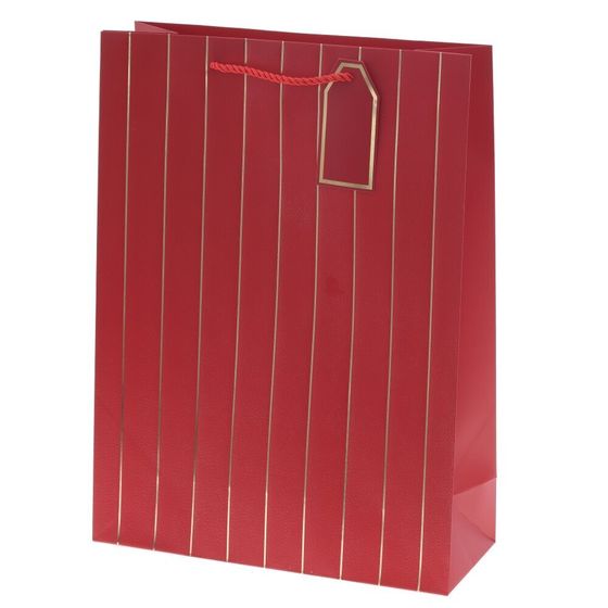 Пакет подарочный (бумага 210г/м2, блок 12шт), L31 W12 H42 см, 9в.