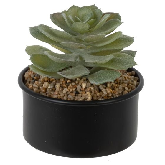 Цветочная композиция "Суккулент", L10 W10 H12 см