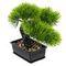 Дерево искусственное &quot;Бонсай&quot;, L18 W13 H18 см