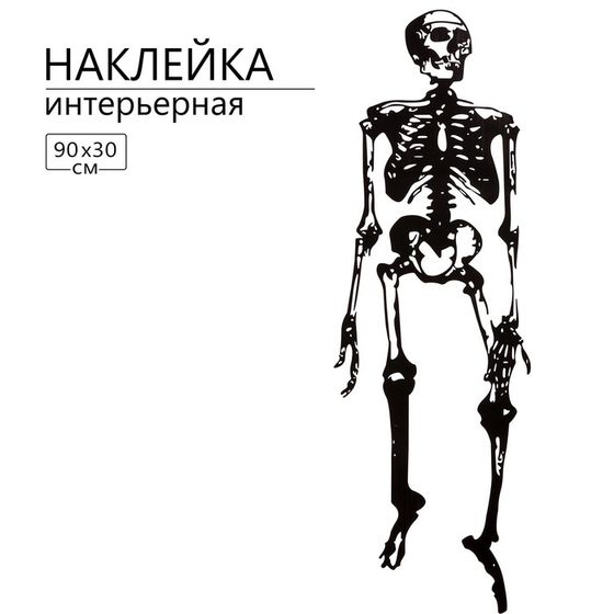 Наклейка 3Д интерьерная Скелет 90*30см