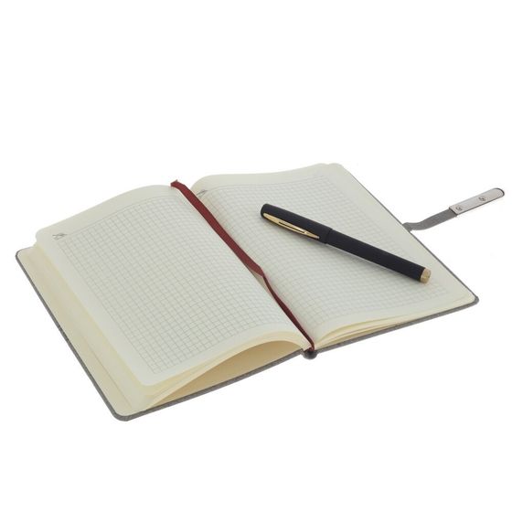 Набор из блокнота и ручки, Д19,5 Ш24,5 В4 см