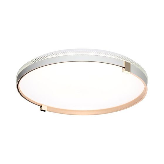 Светильник OLIDI WHITE LED 70Вт 3000-6000К D490 IP43, с ПДУ