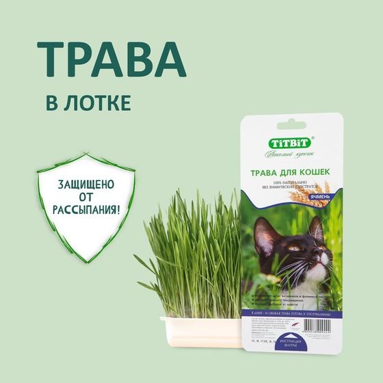 Трава TiTBiT для кошек, ячмень, 50 г