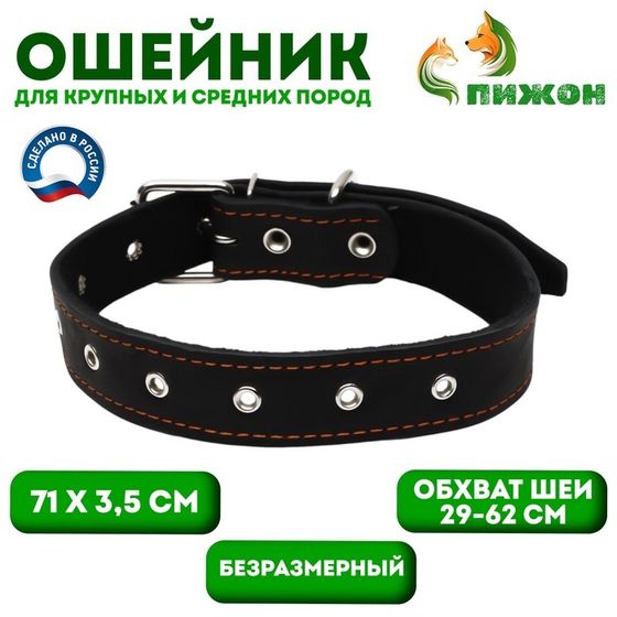 Ошейник кожаный на синтепоне, безразмерный, 71 х 3,5 см, ОШ 29-62 см, чёрный