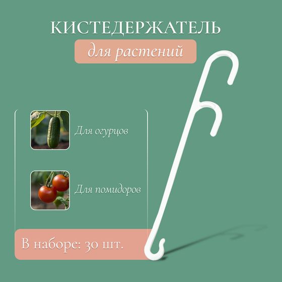 Кистедержатель «Двойной крюк», 13 см, Greengo