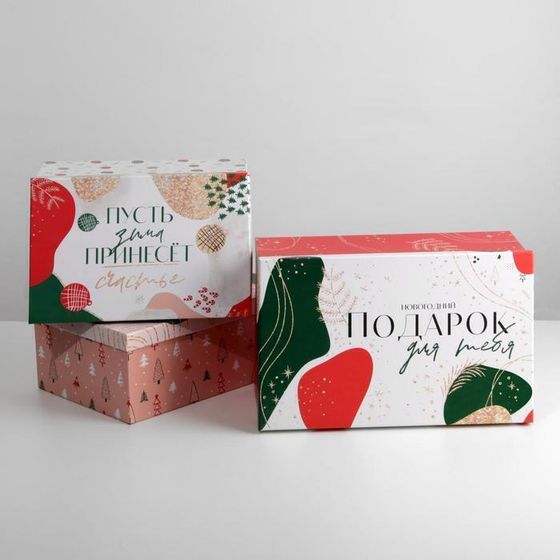 !09 Набор подарочных коробок 3 в 1 «Подарок для тебя», 26 х 17 х 10‒32.5 х 20 х 12.5 см, Новый год