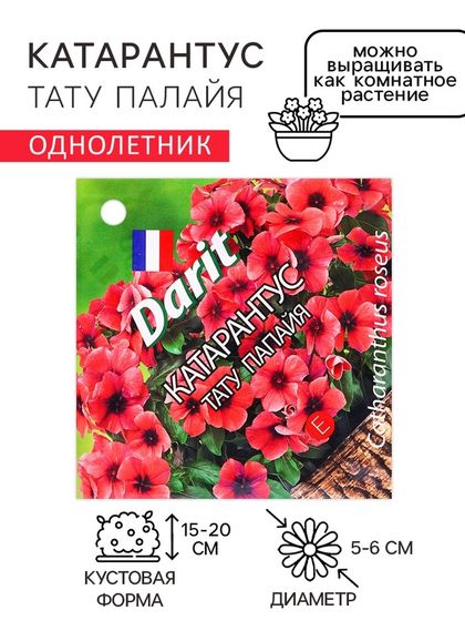 Семена цветов Катарантус &quot;Тату Палайя&quot;, 7 шт