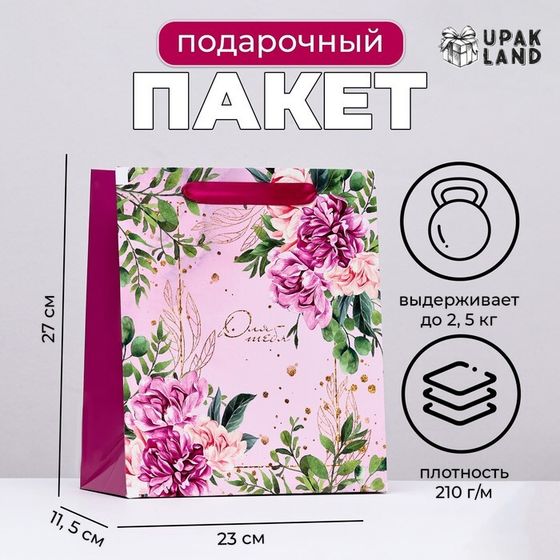 Пакет ламинированный вертикальный &quot;Пастель&quot;, 23 х 27 х 11,5 см