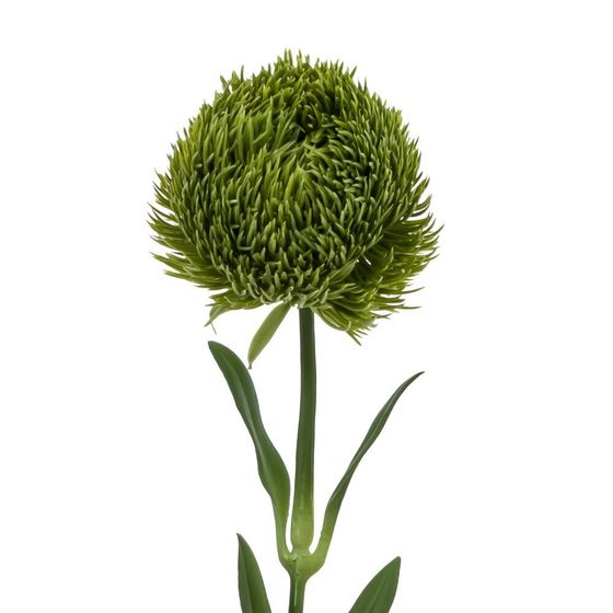 Цветок искусственный &quot;Диантус&quot;, L8 W8 H50,5 см, 2в.