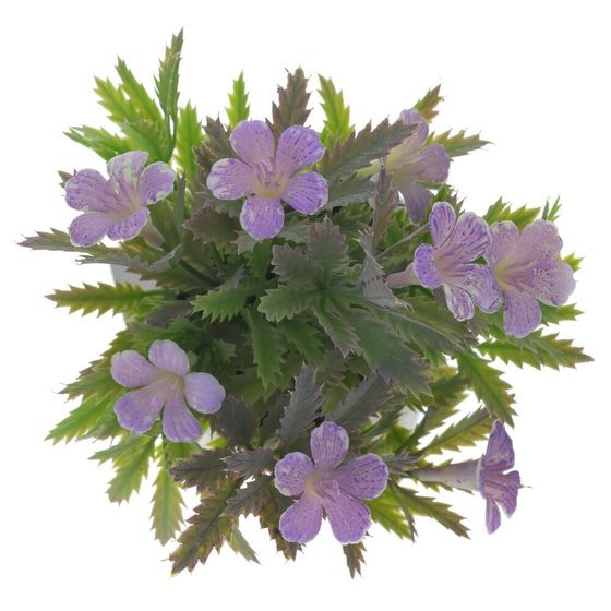 Цветочная композиция, L10 W10 H17 см, 4в.