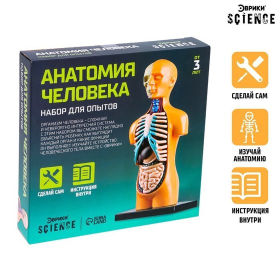Набор для опытов «Анатомия человека»
