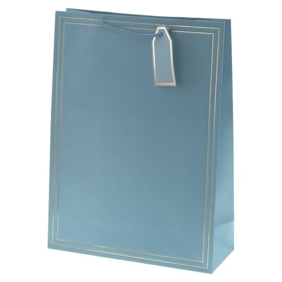 Пакет подарочный (бумага 210г/м2, блок 12шт), L31 W12 H42 см, 10в.