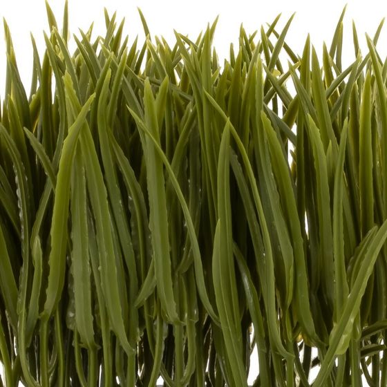 Цветочная композиция &quot;Осока&quot;, L14 W7,5 H16 см