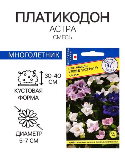 Семена цветов Платикодон &quot;Астра&quot;, Смесь, F1, 5 шт