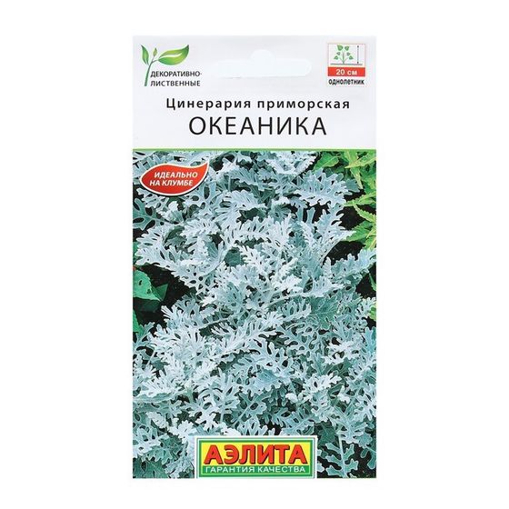 Семена Цветов Цинерария &quot;Океаника&quot;, 0,05 г