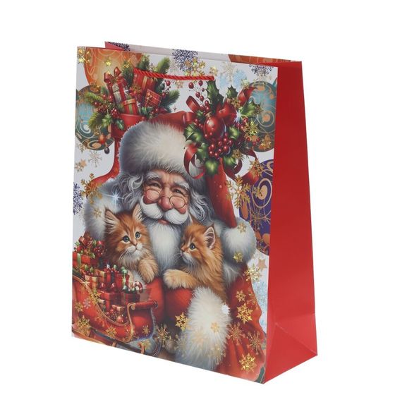 Пакет подарочный (бумага 210г/м2, блок 12шт), L30 W12 H41 см, 4в.